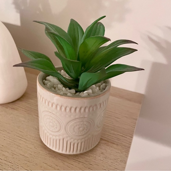 Boho faux suculent Plant - Picture 5 of 6